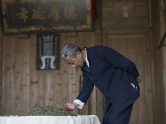 【顺茗道】品牌_顺茗道茶叶官方价格,评测,新闻,经销商,招商加盟电话 | 普洱茶产品库