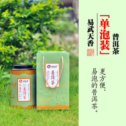 方便便携 精品品质 普洱单泡装,好茶简单泡