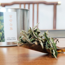 高山生态白茶白牡丹