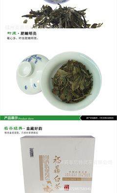 【福鼎白茶白牡丹陈年野生茶叶茶叶厂家批发零售货源稳定一件代发】价格,厂家,图片,白茶,福州英菲尼特贸易-