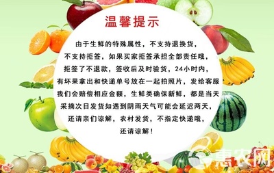 鱼腥草根