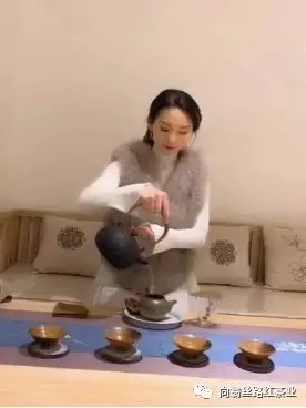 向翁丝路红茶业品味生活