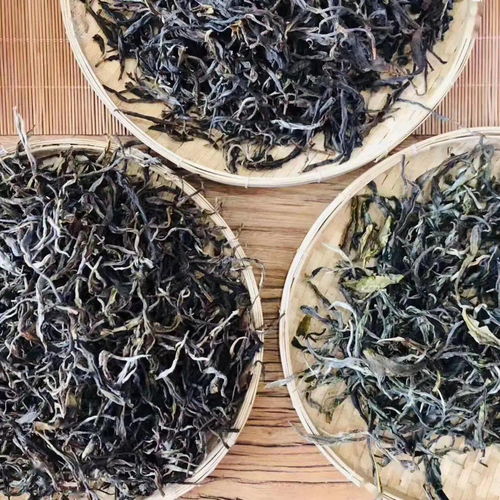 2019年精选古树普洱茶砖,薄荷塘茶叶批发与零售价比较