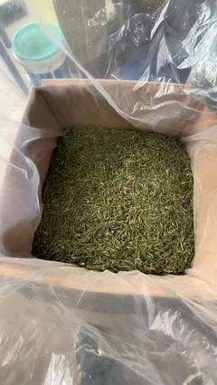 庐山云雾高山茶叶批发零售