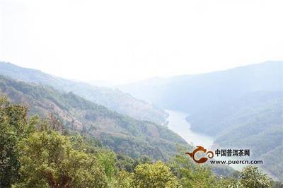 普洱茶投资分析:写给平静却又不平淡的2018
