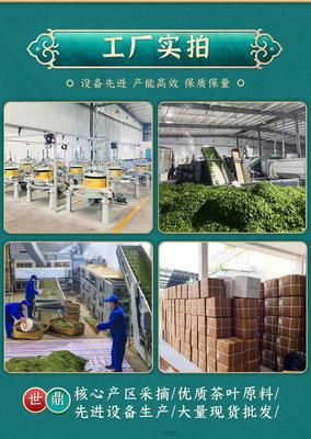 小叶苦丁茶青山绿水特级批发2023新茶正品四川筠连复活茶去火嫩芽