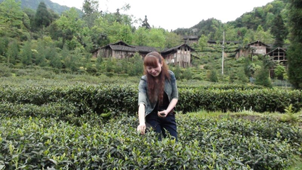 川茶十二朵金花之风景这边独好 -刘雪华和她的成都汇茗茶业公司